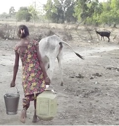 drought  water crisis  Baghelkand  Satna  Rewa  Women  Children