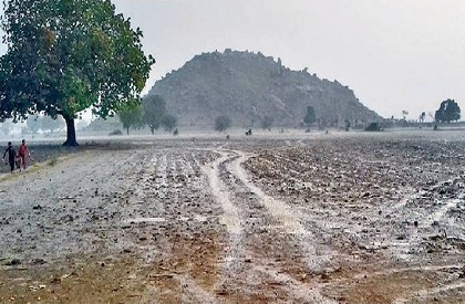 Yet another farmer ends life in Madhya Pradesh