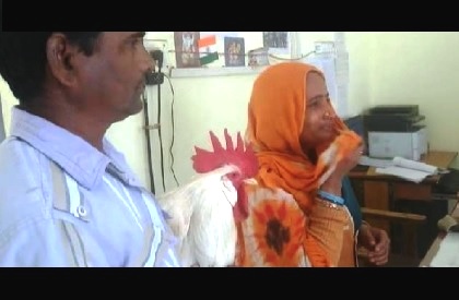Crime  Weird  Bizarre  Rooster  Shivpuri  Police  Murgha  Cock