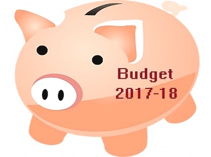 Budget  Budget highlights  Union budget  Madhya Pradesh  Arun Jaitley  BJP  NDA  Finance  Economy  Middle class