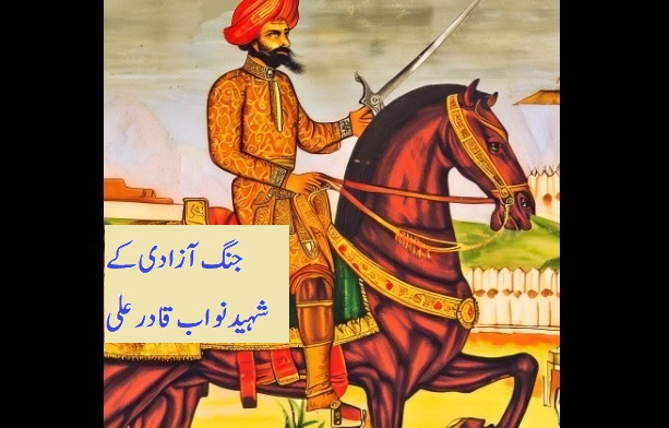 Freedom Fighters Nagpur Maharashtra Vidarbha Nawab Kadar Ali Sitabuldi Fort 1857 Independence Movement Freedom Struggle First war of independence Muslim freedom fighters