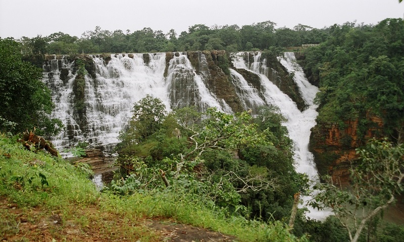 Safari Season begins 12 Days early at Kanger Valley National Park in Bastar