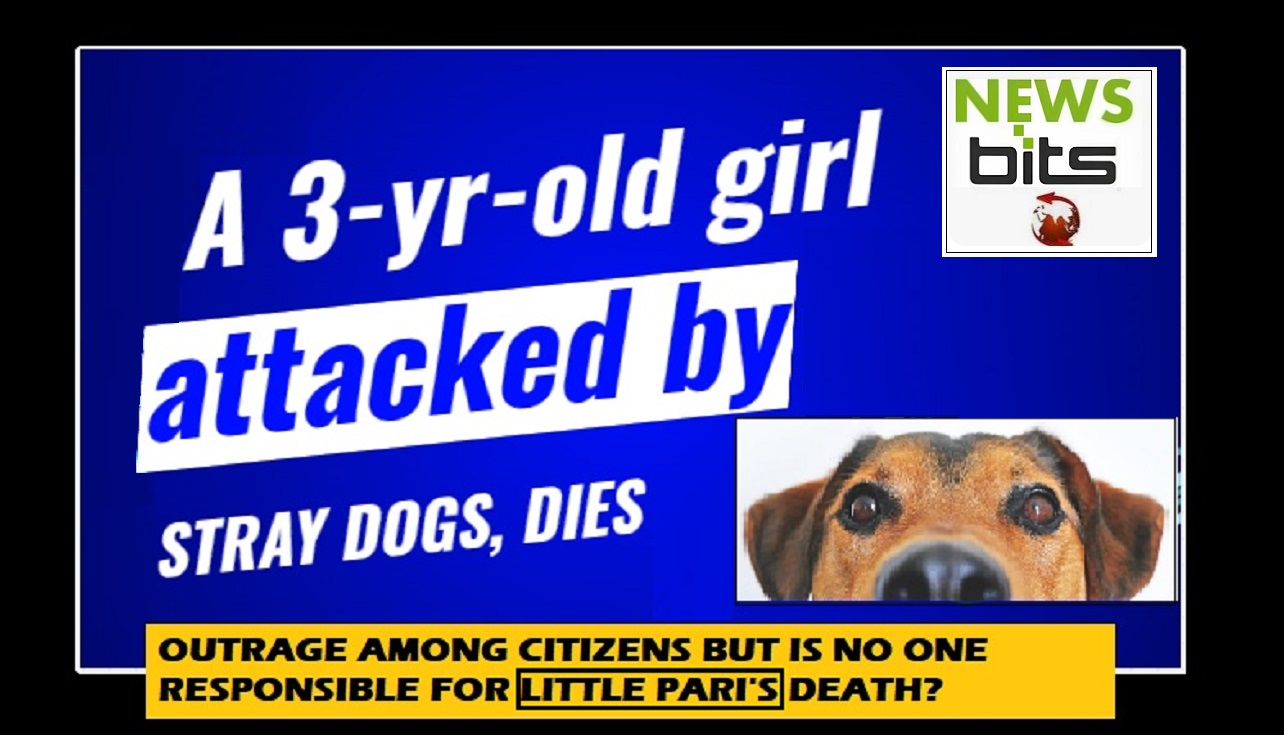 Stray dogs attack 3-year-old girl who went out looking for her mother, succumbs to injuries